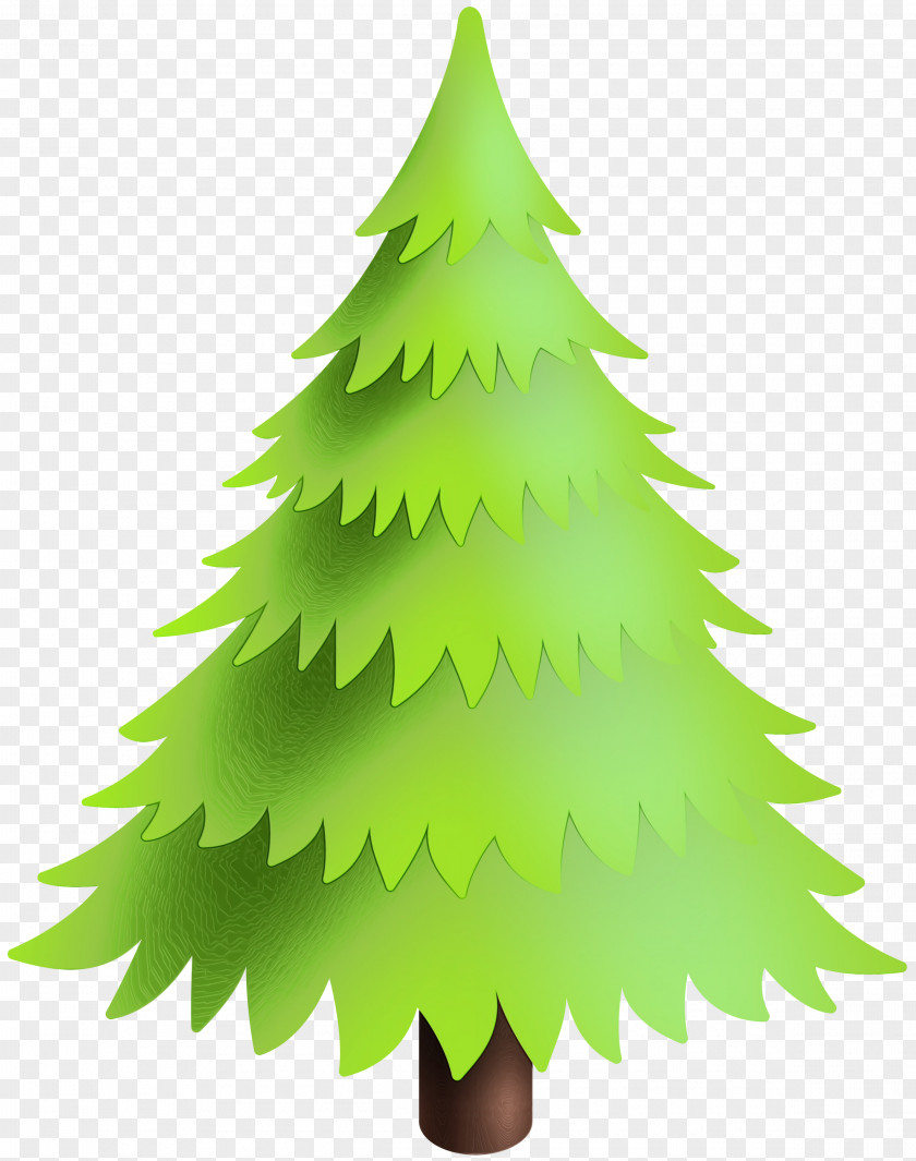 Pine Christmas Decoration Tree PNG