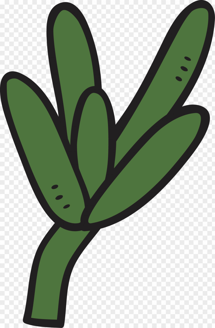 Striped Cactus Plant Tropical Rainforest Cactaceae Green PNG