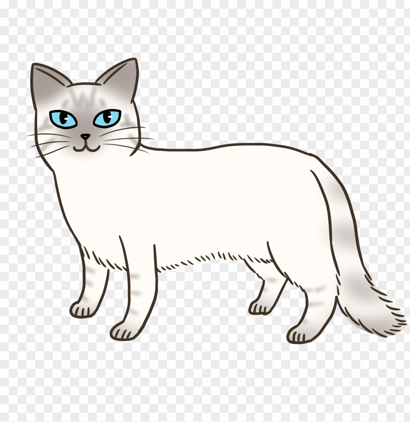 Kitten Whiskers Balinese Cat Domestic Short-haired Tabby PNG