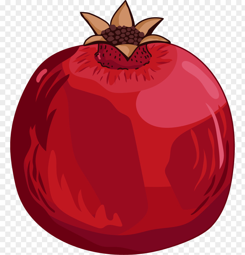 Beautifully Hand-painted Cartoon Pomegranate Drawing PNG