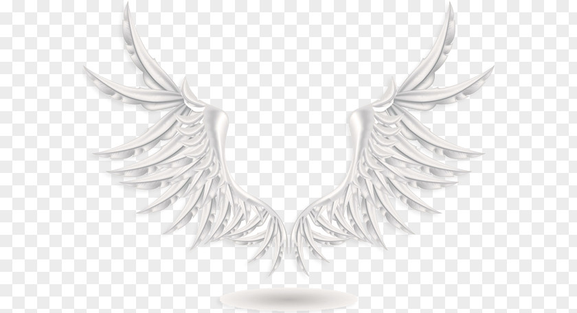Fantasy Wings Wing Photography PNG