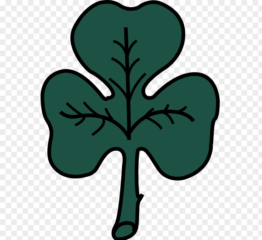 Flag Of Montreal Shamrock Ireland Wikipedia PNG