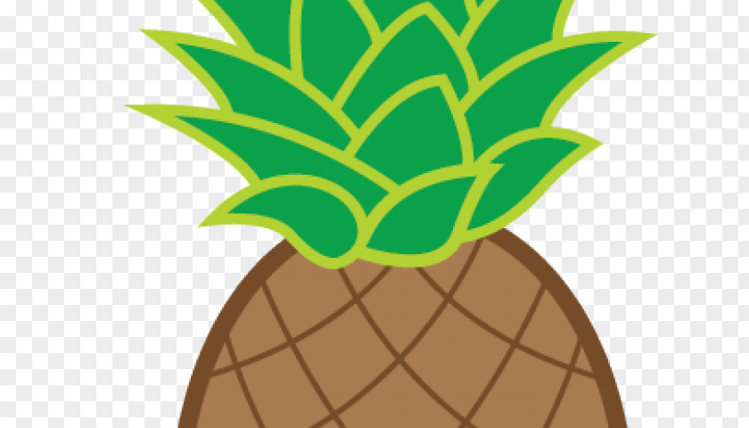 Fruit Houseplant Green Leaf Background PNG