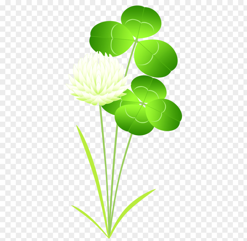 Spring Material Leaf Plant Stem Flowering PNG