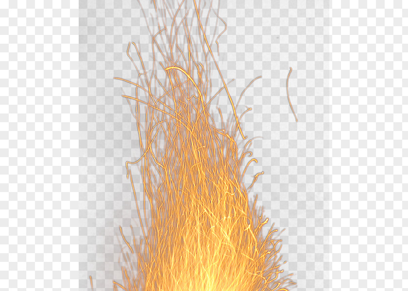 Wood Flame Download PNG