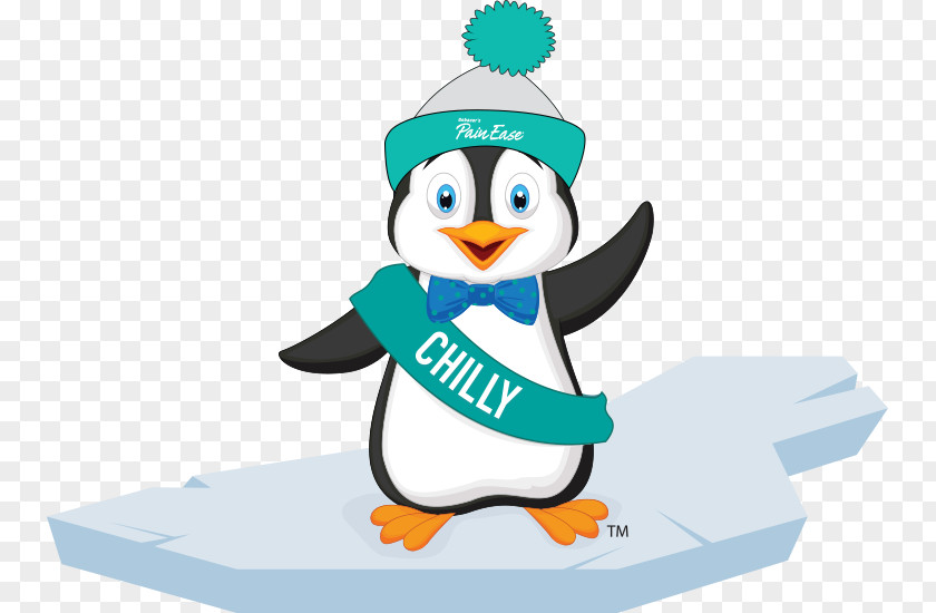 Bird Flightless Penguin Cartoon PNG