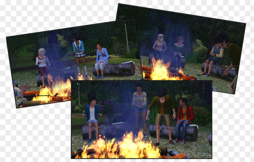 Campfire Recreation PNG