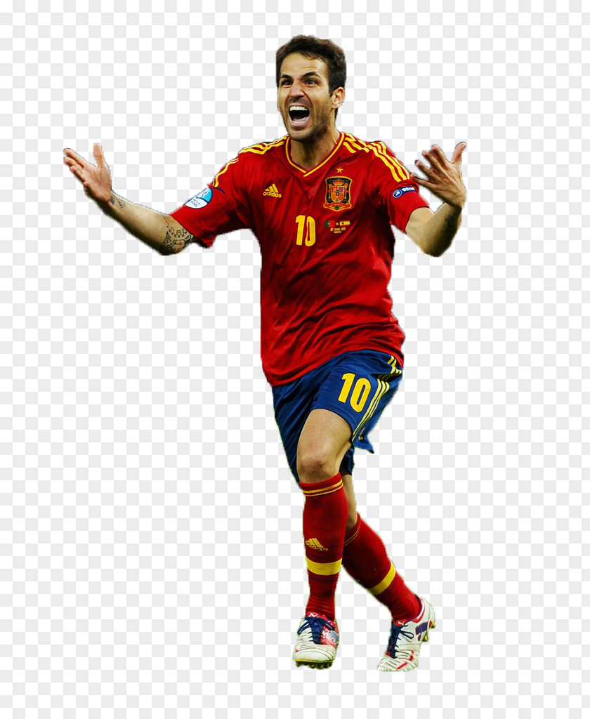 Football Spain National Team Player Cesc Fàbregas Andrés Iniesta PNG