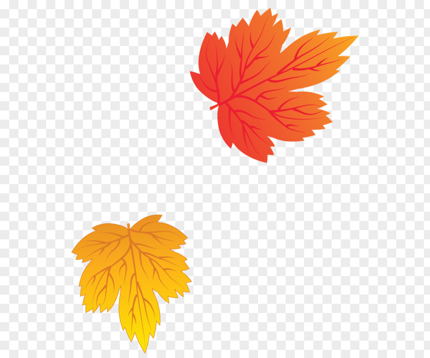 Leaf Autumn Leaves Clip Art PNG
