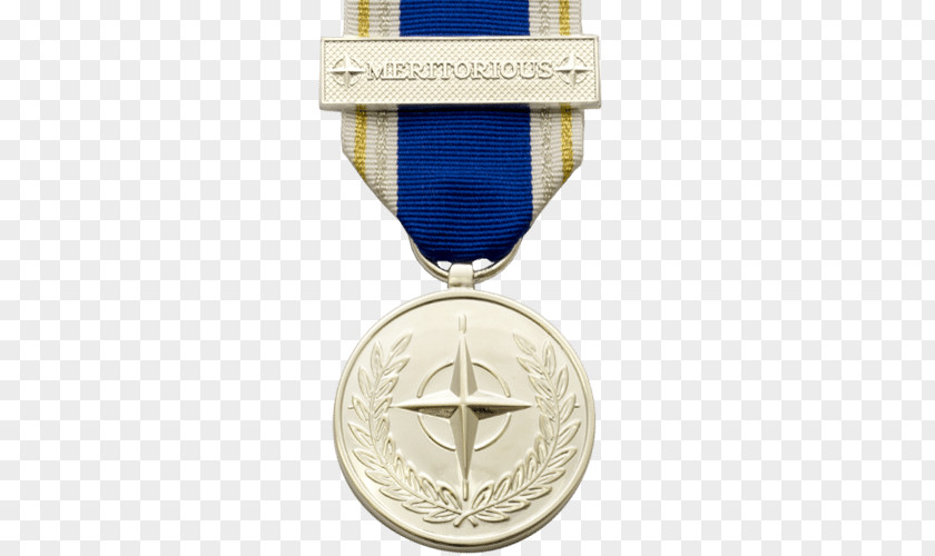 Medal Defense Meritorious Service NATO PNG
