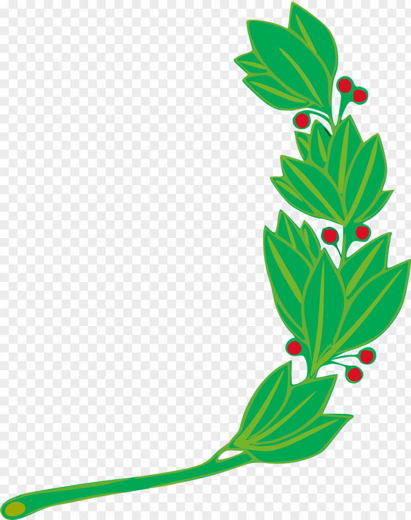 Symbol Flag Of Peru National Symbols Coat Arms PNG