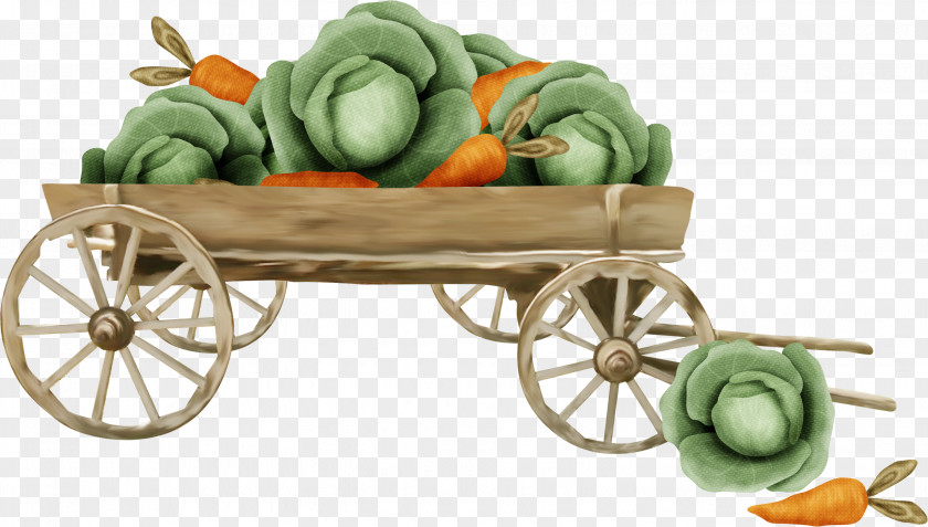 A Car Vegetables Vegetable Carrot PNG