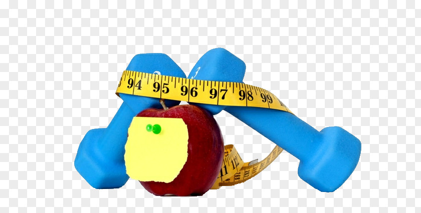 An Object Ruler For Winding The Barbell And Apples Physical Exercise Apple PNG