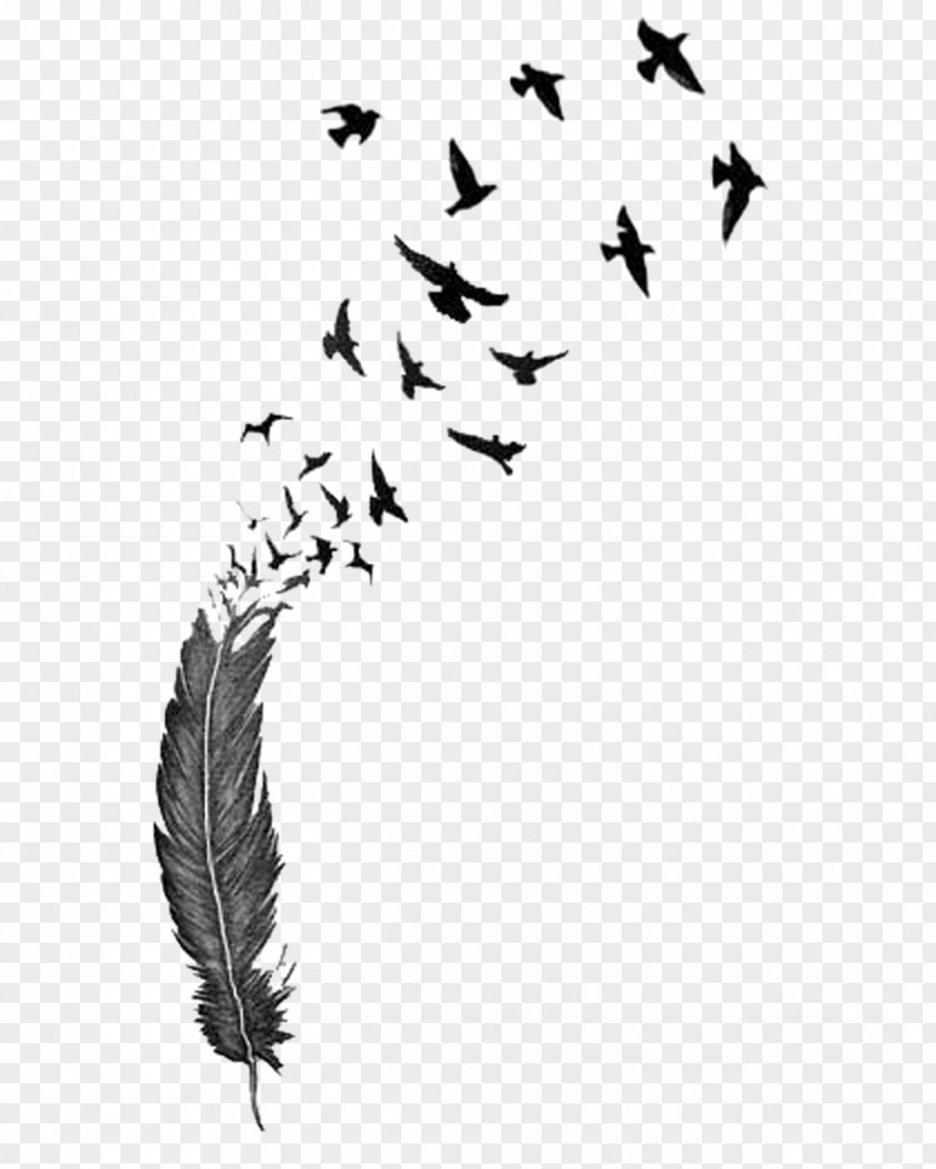 Bird Feather Tattoo Drawing Clip Art PNG