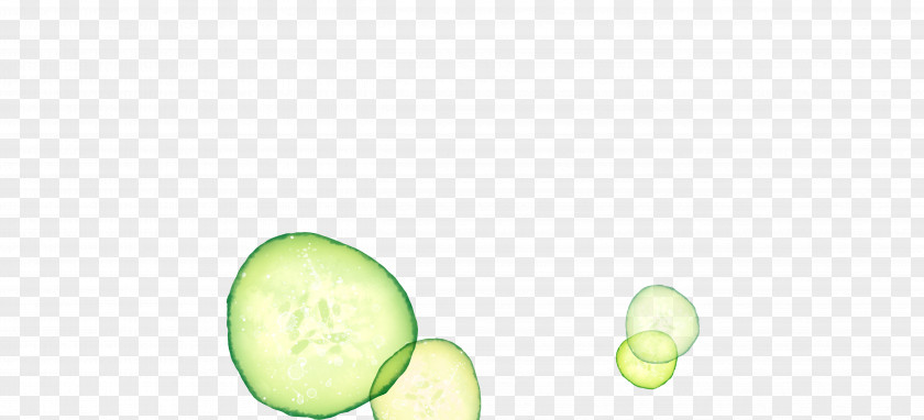 Cucumber Slices Melon Fruit Wallpaper PNG
