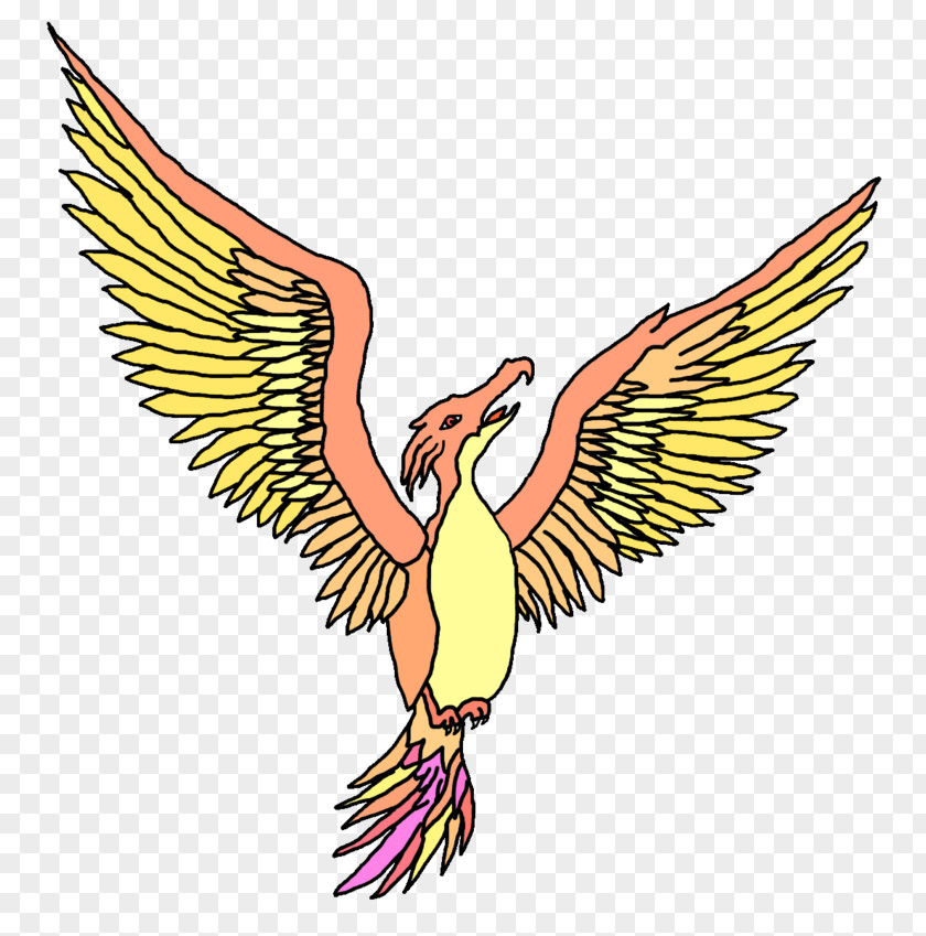 Eagle Feather Beak Clip Art PNG