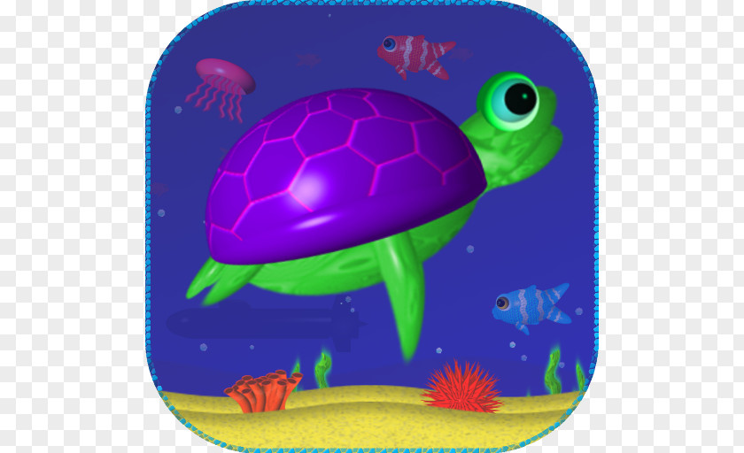 Turtle Sea Marine Biology PNG