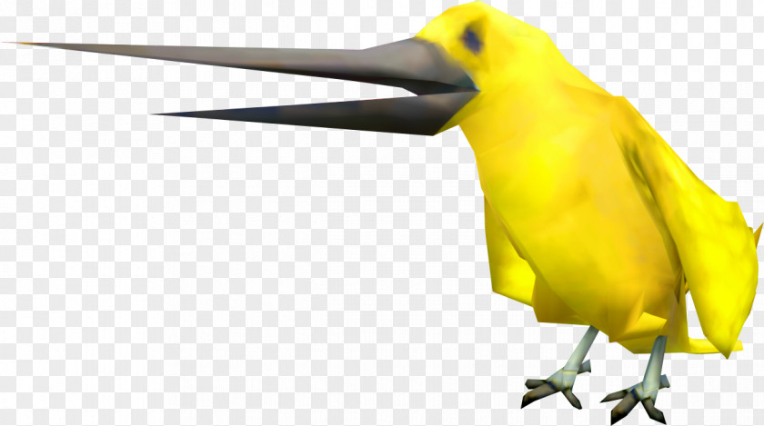 Wing Perching Bird Beak Yellow Songbird PNG