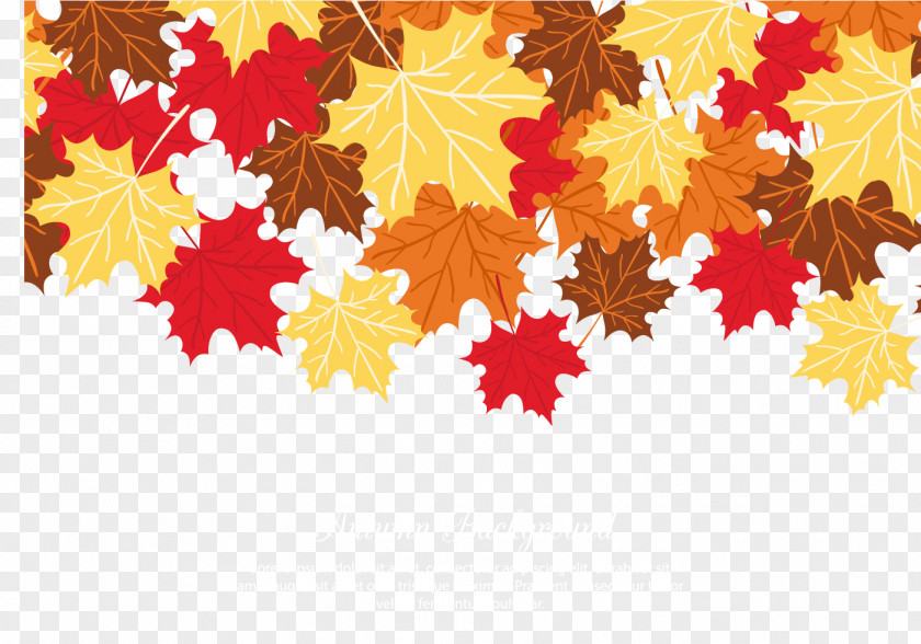 Maple Leaf Vector Material Autumn Color PNG