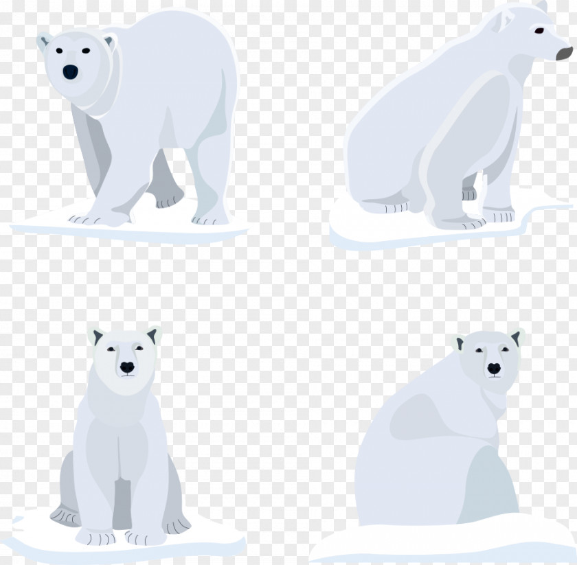 Polar Bear On Ice Vector Dog Euclidean PNG