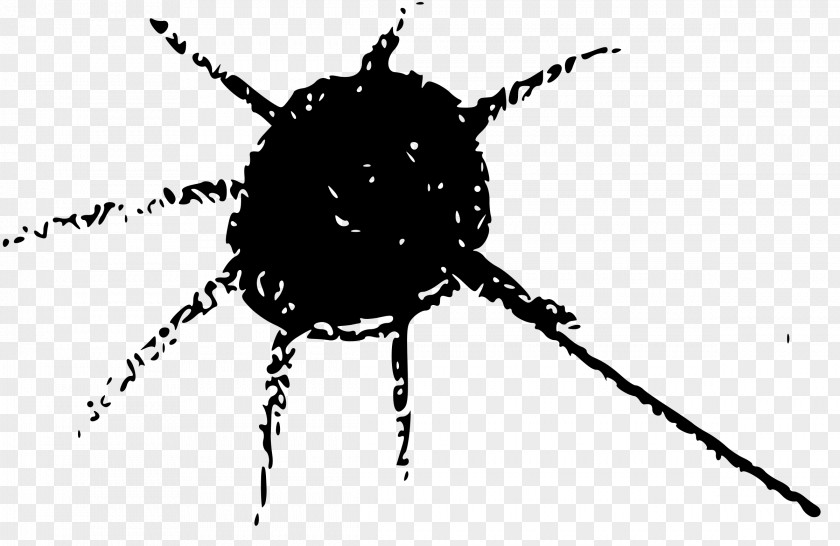 Spider Web Beetle Line Pest White Font PNG