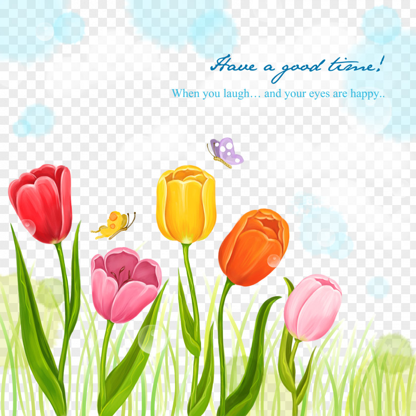 Tulip Flowers Card Background Material Flower Illustration PNG