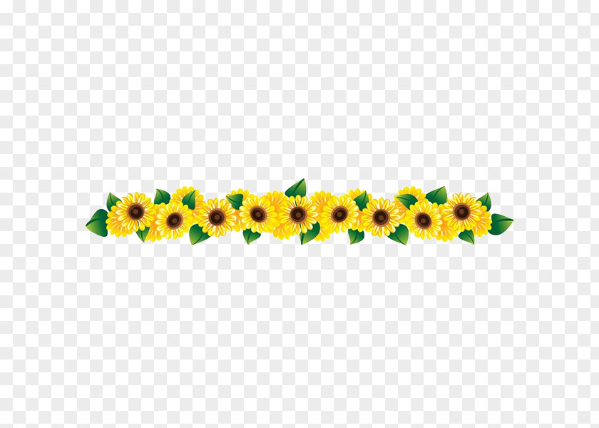 A Row Of Beautiful Sunflower Common Clip Art PNG
