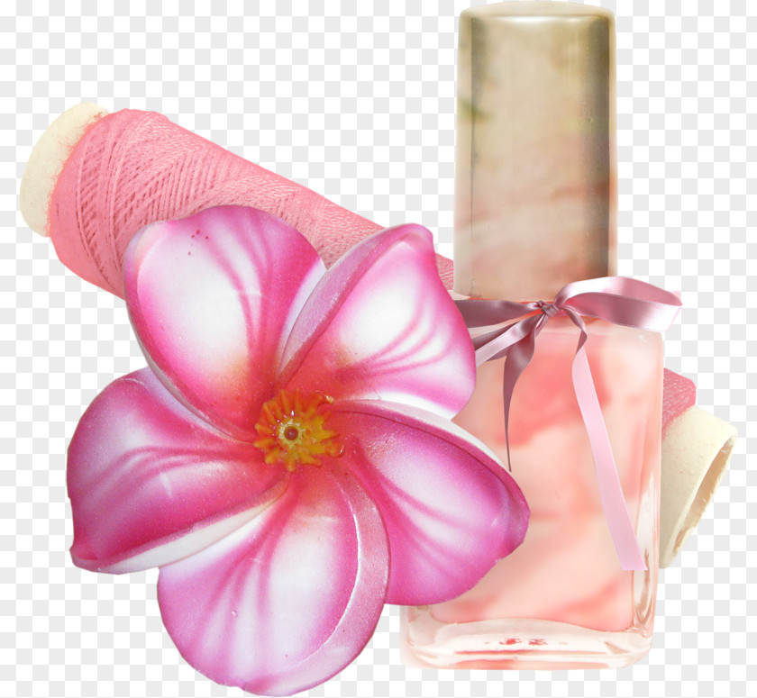 Cosmetic Flower PNG