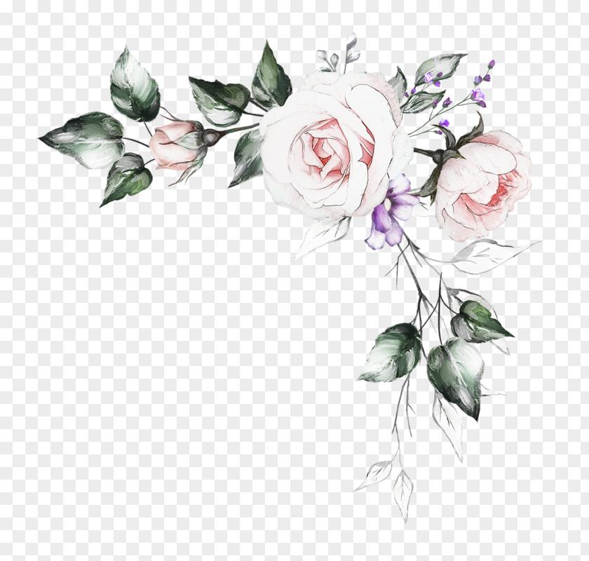 Drawing Flowers Drawn Watercolor Painting Garden Roses Illustration Royalty-free PNG