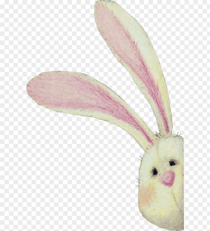Feather Rabbits And Hares Easter Bunny Background PNG