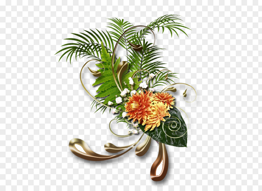 Floral Design Flower Picture Frames Painting PNG