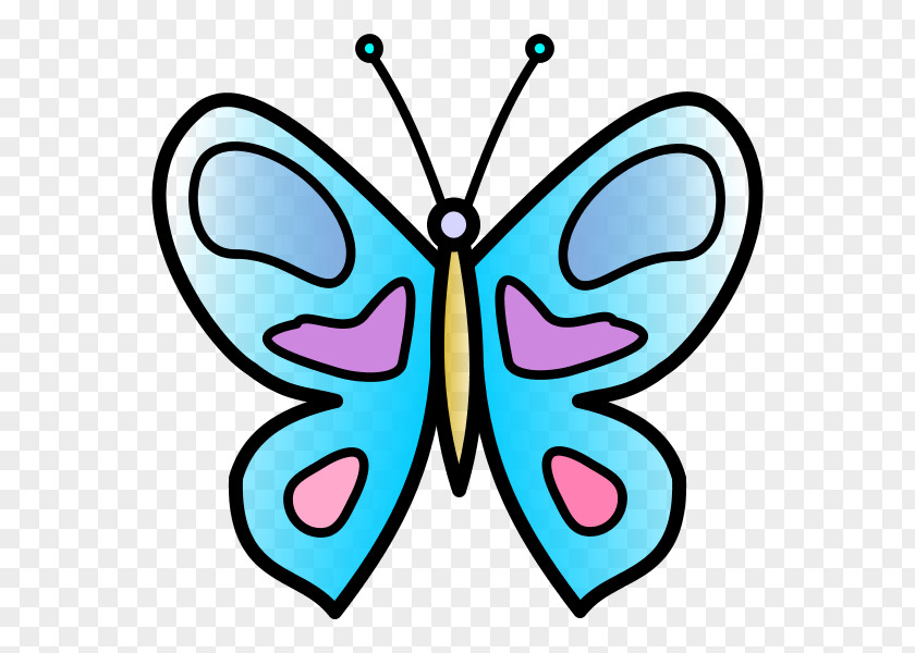 Line Art Symmetry Butterfly Moths And Butterflies Insect Wing Pollinator PNG