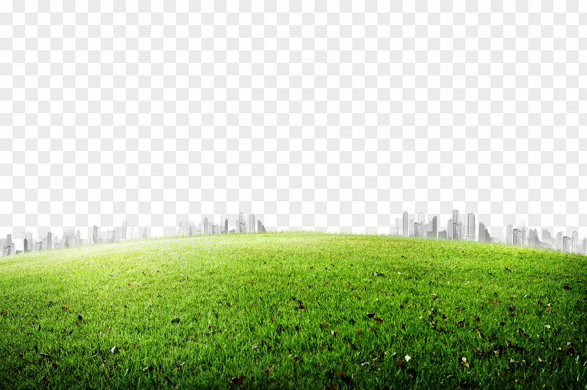Meadow Grasses Icon PNG
