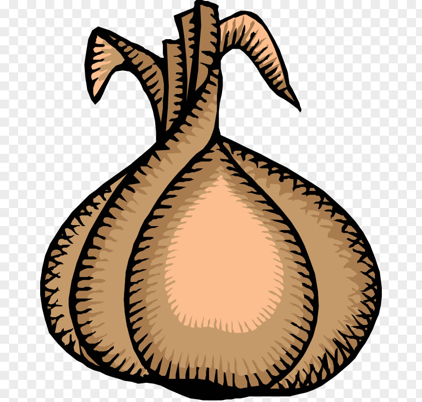 Rma Cliparts Onion Garlic Chives Vegetable PNG