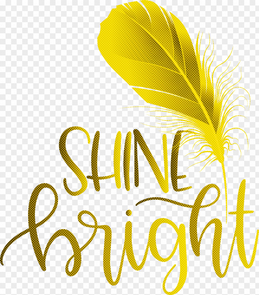 Shine Bright Fashion PNG