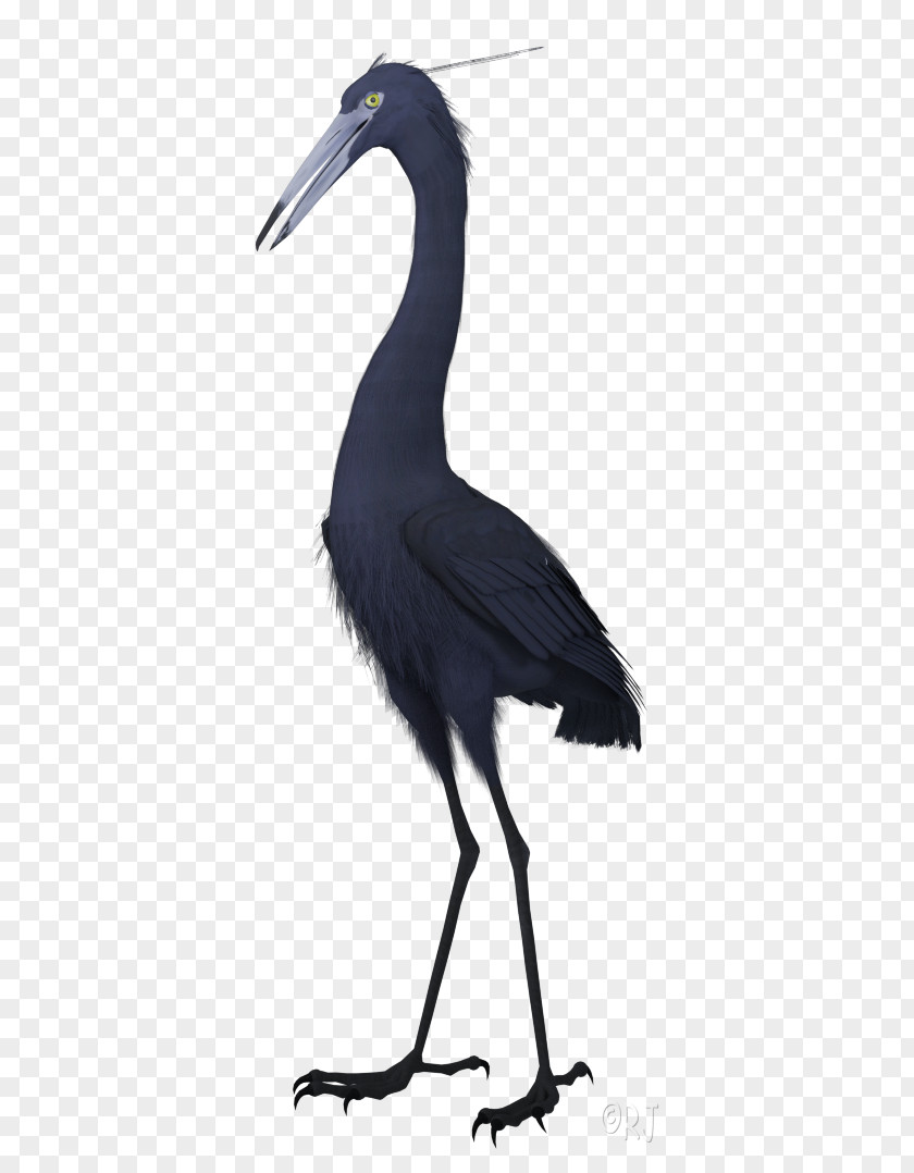 Silhouette Crane Bird PNG