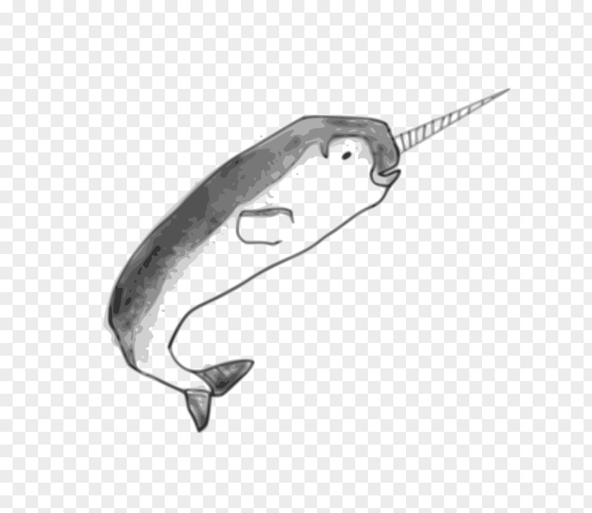 Whale Narwhal Toothed Clip Art PNG