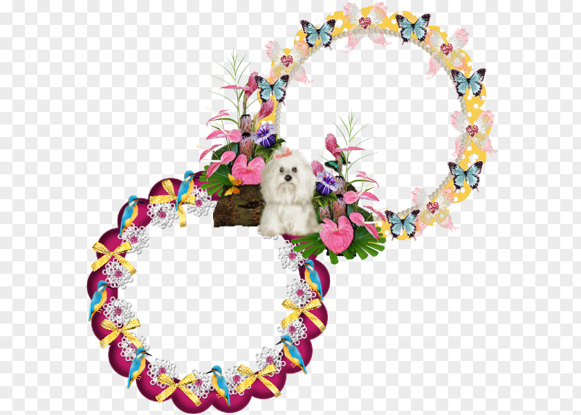 Butterfly Frame Cut Flowers Floral Design Wreath Kisses PNG