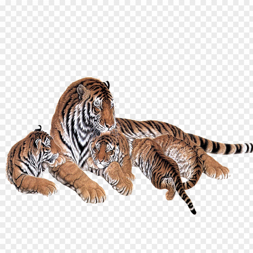 Creative Baby Tiger Siberian Painting Two Tigers PNG