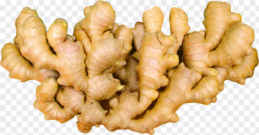 Ginger Root Vegetables PNG