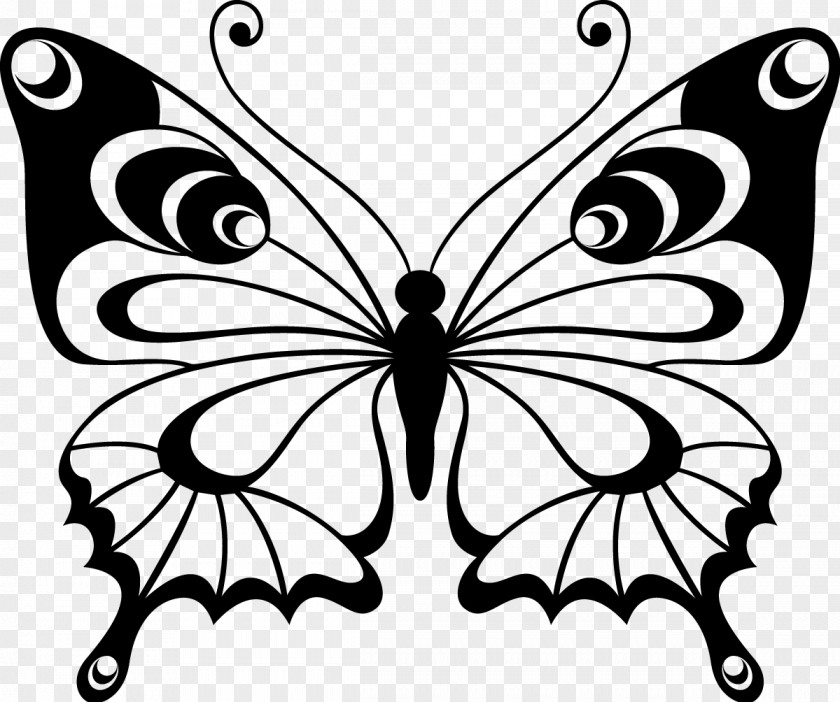 Hand-painted Butterfly Paper Drawing Stencil Pattern PNG