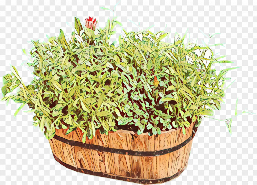 Herb PNG