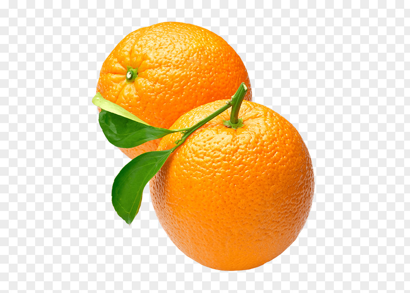 Orange Juice Clip Art PNG