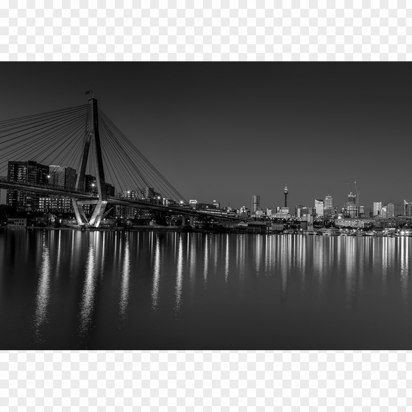 Wattle Black And White Blackwattle Bay Landscape Photography Printing PNG