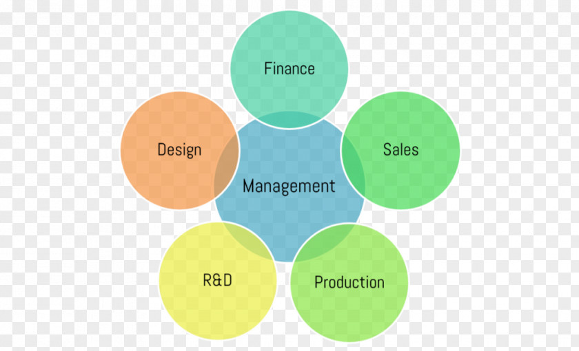 Cellular Organizational Structure Chart PNG