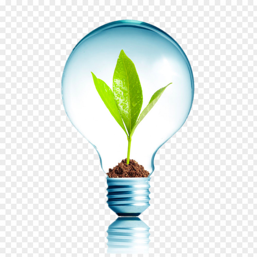 Creative Bulb Plants Energy Conservation Efficient Use Renewable Environmentally Friendly PNG