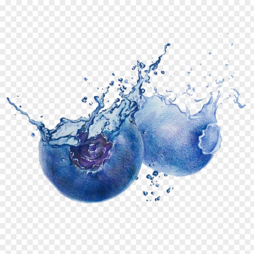 Creative Hand-painted Blueberry Drawing PNG