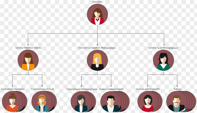 Design Organizational Chart Graphic Designer Industrial PNG