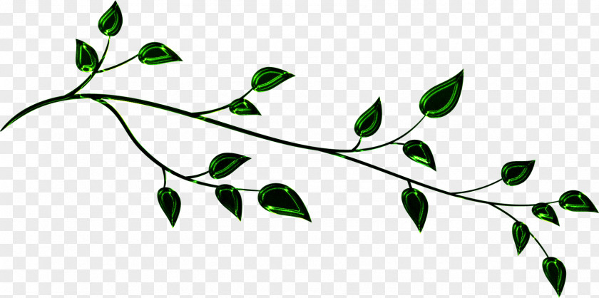 Leaf Twig Green Plant Stem Clip Art PNG