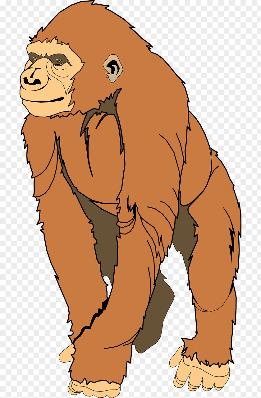 Yellow Gorilla Ape Clip Art PNG